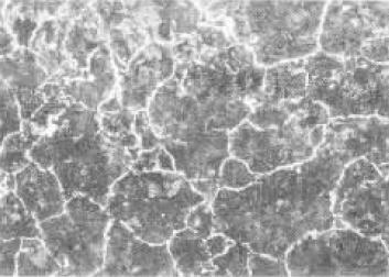 ���l������������ػ����ӟ��˻�ą^(q��)�e��ʲô��