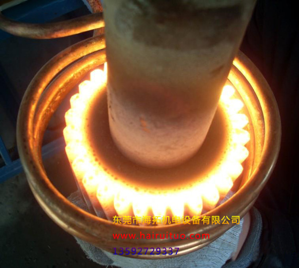 �P�c2019���ˇ���õ�10�N����