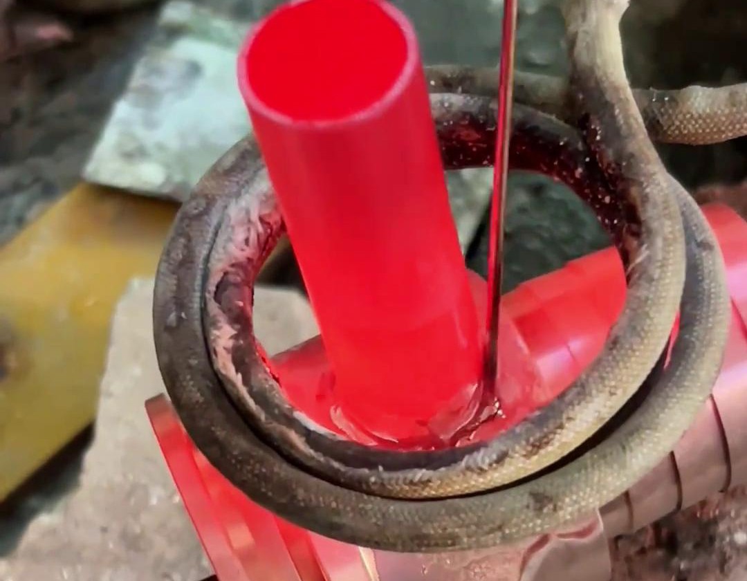 054F010166D672F2053938123D014D6C.jpg 054F010166D672F2053938123D014D6C.jpg